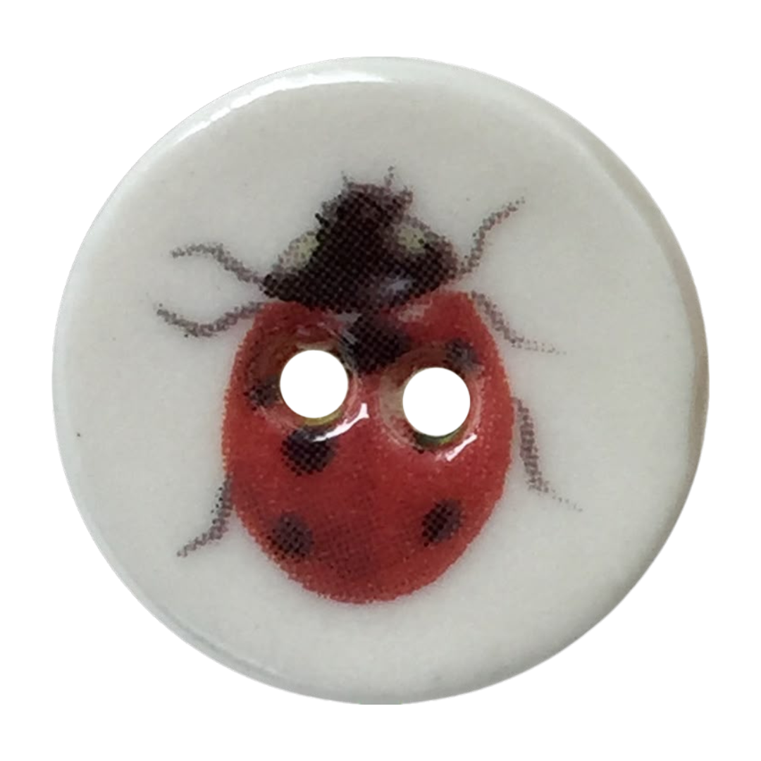 Description of Image