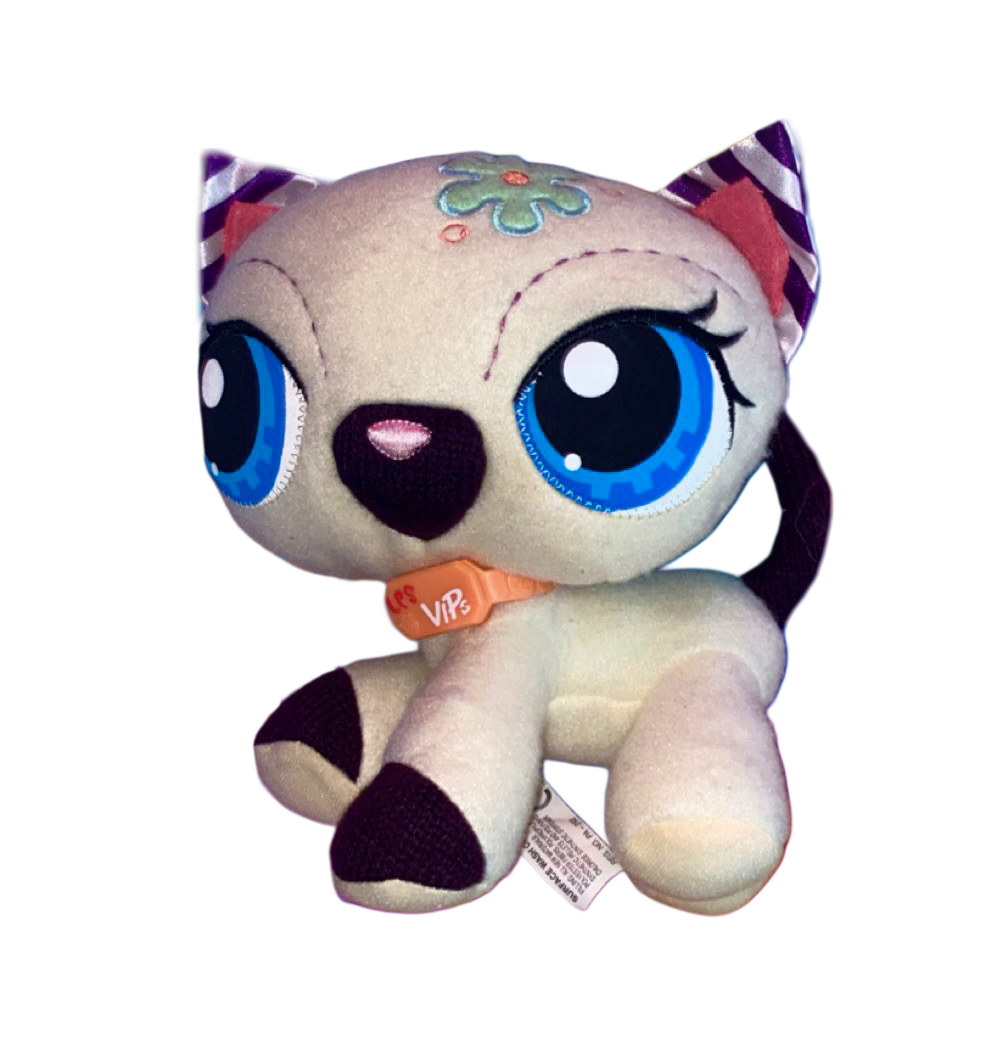 Description of Image