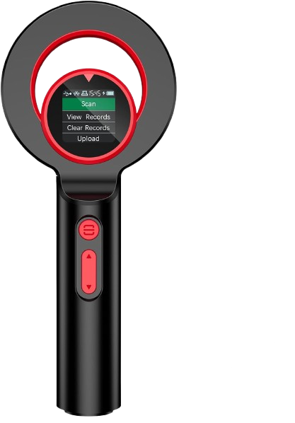 Description of the image